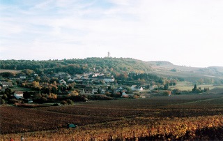 Paysage.jpg
