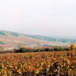 Le Vallon, vu de la Maison : plein Nord