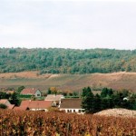 Les Vignes côté Ouest